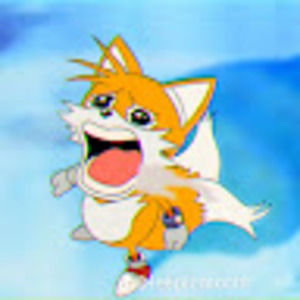 Meet your Posher, Payton